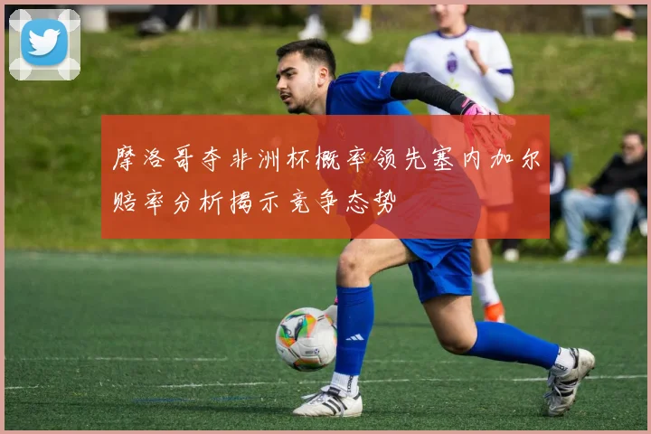 摩洛哥夺非洲杯概率领先塞内加尔赔率分析揭示竞争态势