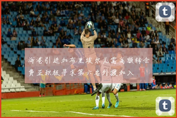 海港引进加布里埃尔无需高额转会费正积极寻求第六名外援加入