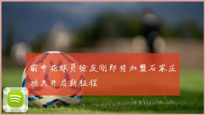 前申花球员徐友刚即将加盟石家庄功夫开启新征程